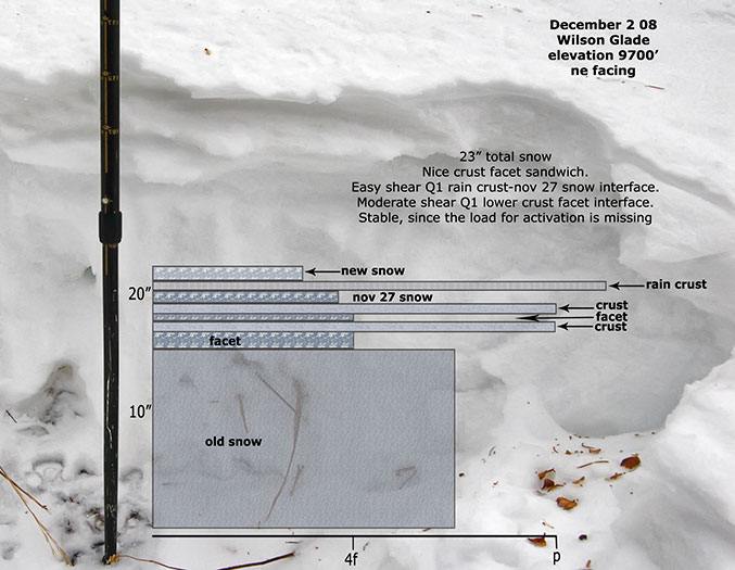 wilson-snow-profile